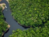 Pesquisa vai analisar mercado do turismo no Amazonas1