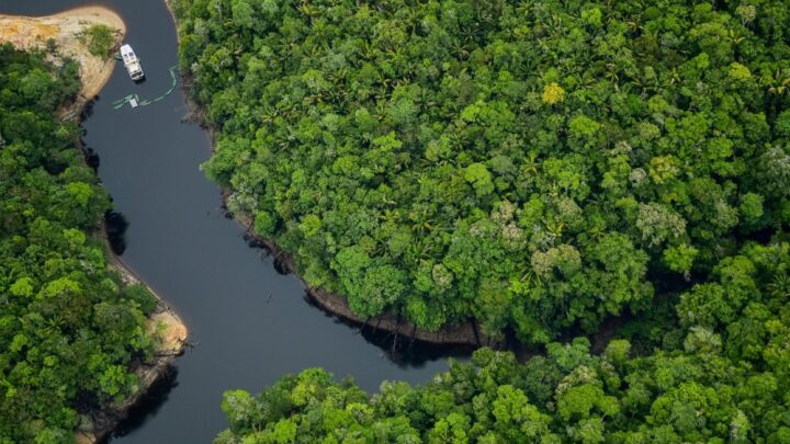 Pesquisa vai analisar mercado do turismo no Amazonas