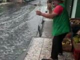 oto - ‘pescaria’ na rua dos Barés em plena cheia viraliza na web_Moment
