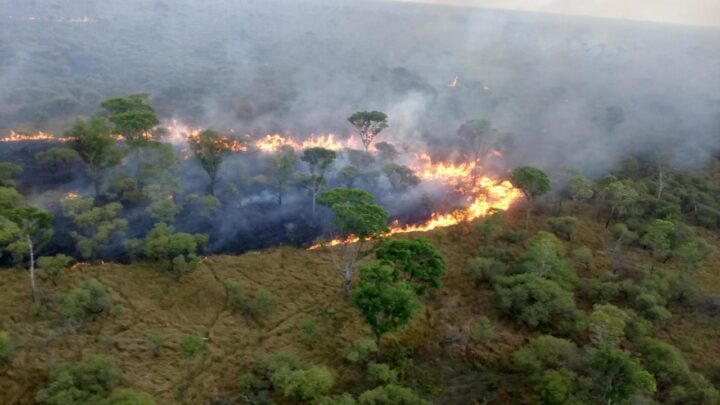 Brigadas contratadas são insuficientes para proteger Terras Indígenas da Amazônia de incêndios florestais