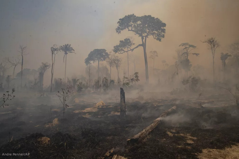 #PODCAST – Joaquim Leite diz que antecipará meta de zerar desmatamento ilegal