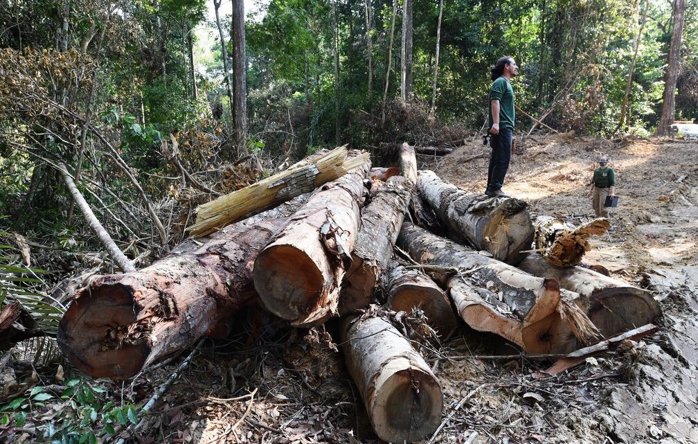 Alertas de desmatamento na Amazônia batem recorde em outubro, aponta Inpe