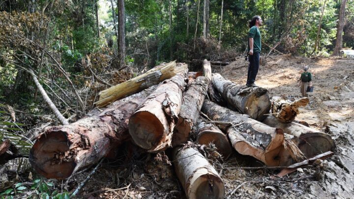 Alertas de desmatamento na Amazônia batem recorde em outubro, aponta Inpe