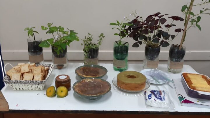 Com apoio do Governo do Estado, alunos desenvolvem pesquisa sobre plantas alimentícias não convencionais