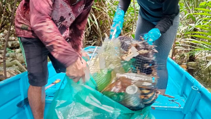 Plataforma AMA lança em Manaus projeto de limpeza de igarapés