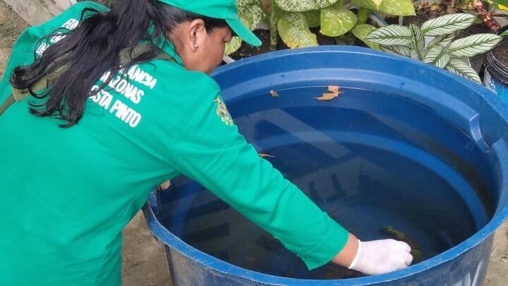 Saúde do Amazonas alerta para prevenção a doenças transmitidas pelo Aedes aegypti