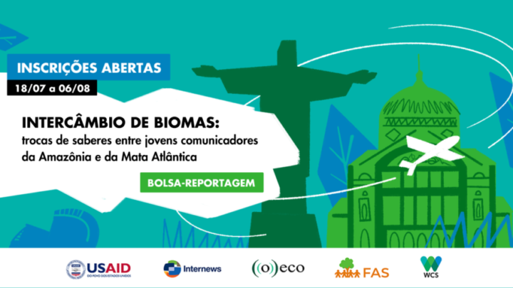 ((o))eco lança edital para jovens comunicadores da Amazônia e da Mata Atlântica