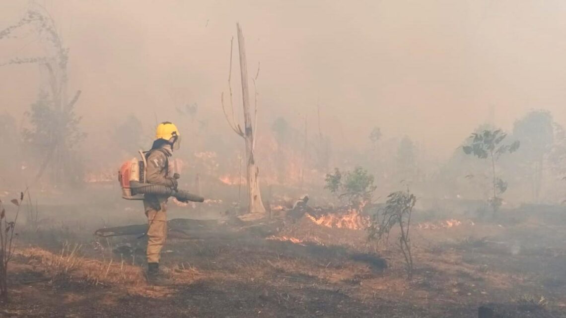 Em Apuí, bombeiros da Operação Aceiro combatem incêndio em área de pasto