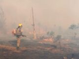 Em Apuí, bombeiros da Operação Aceiro combatem incêndio em área de pasto