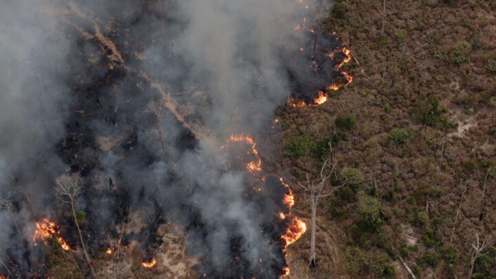 Dados de desmatamento e focos de calor na BR-319 mostram cenário complexo, com desafios e oportunidades de ação do poder público, aponta estudo