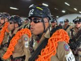 Corpo de Bombeiros inicia segunda turma do Curso de Especialização de Salvamento em Altura