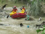 Bombeiros do Amazonas continuam buscas por homem que caiu em igarapé