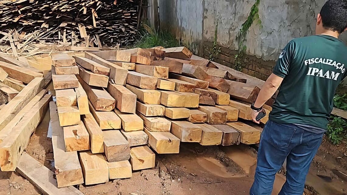 Madeireiras irregulares em Manacapuru são multadas em mais de R$ 1 milhão
