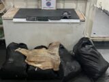 Base Arpão: PMAM apreende 210 kg de pirarucu transportado ilegalmente