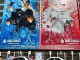 Crea-AM realiza mais de 70 fiscalizações durante o Festival Folclórico de Parintins