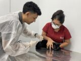 Verão Amazônico: campanha alerta para prevenção de doenças em pets