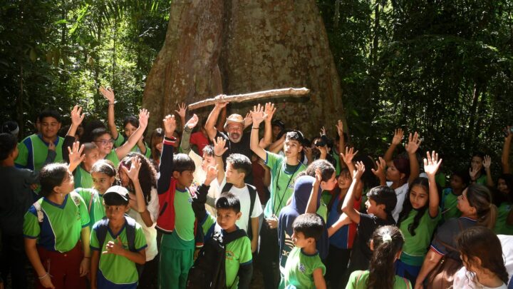 Circuito DRAMEL de Arte é inaugurado com vivência educativa em Iranduba
