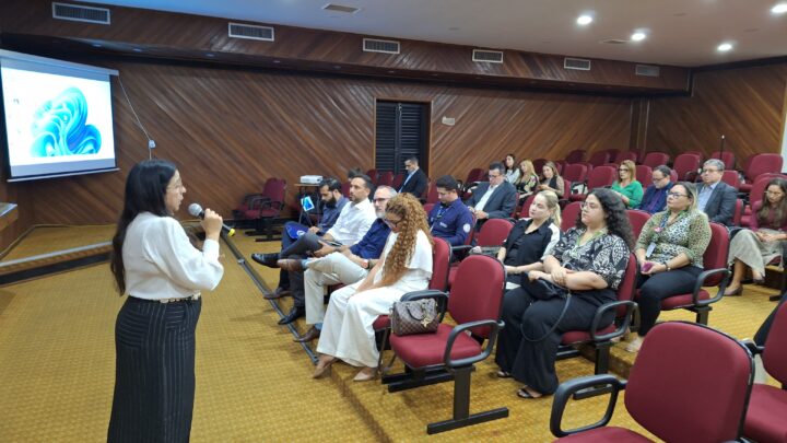 Ministério Público lidera reunião sobre uso de monitoramento eletrônico na defesa de mulheres vítimas de violência doméstica