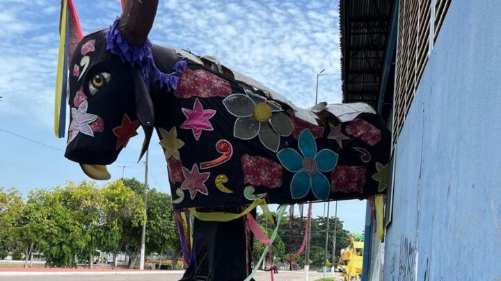 MPAM ingressa com ação civil para retirada de carros, resíduos e materiais alegóricos das calçadas do entorno do Sambódromo