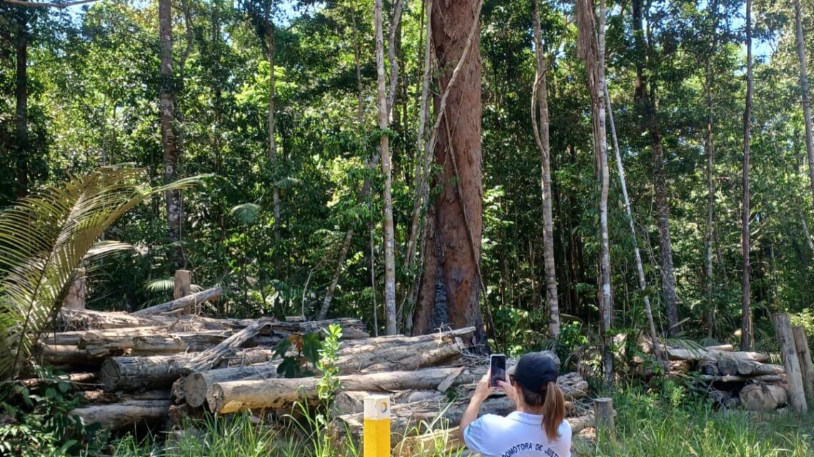 Em Itapiranga, Ministério Público investiga empresas por danos ambientais em área rural do município