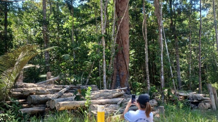 Em Itapiranga, Ministério Público investiga empresas por danos ambientais em área rural do município
