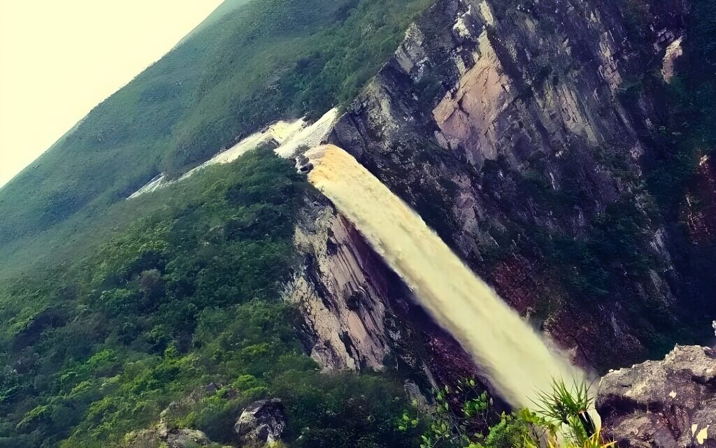 MPAM apura irregularidades ambientais em cinco parques estaduais do Amazonas