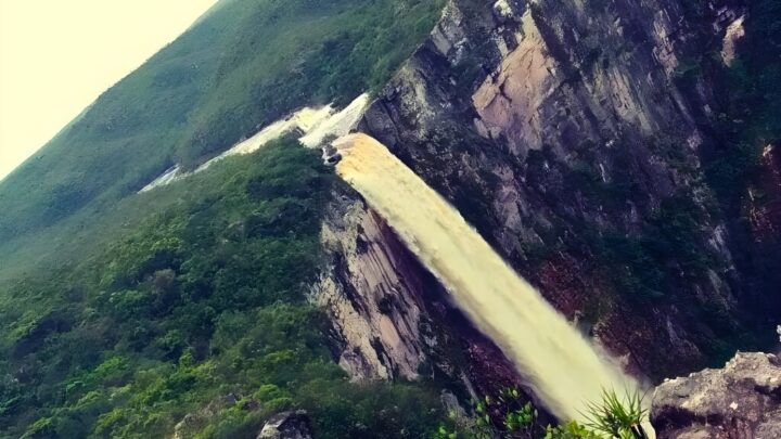 MPAM apura irregularidades ambientais em cinco parques estaduais do Amazonas