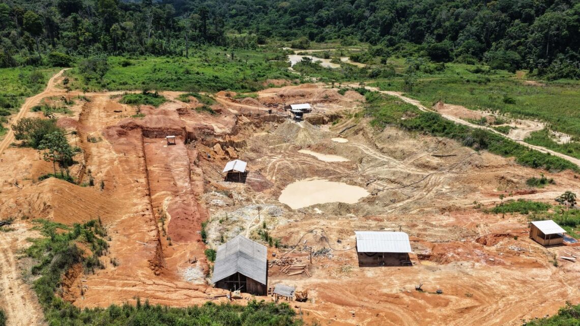 Ipaam identifica garimpo ilegal em Maués, interdita área e aplica multa superior a R$ 3,5 milhões Ipaam identifica garimpo ilegal em Maués, interdita área e aplica multa superior a R$ 3,5 milhões