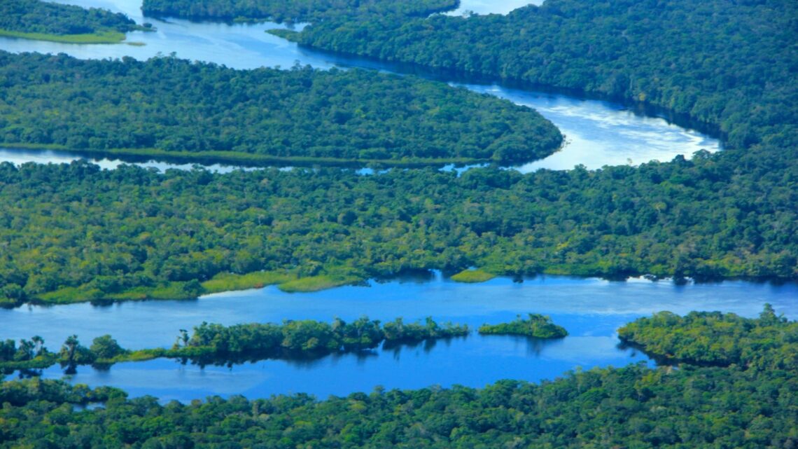Amazonas tem a menor taxa de desmatamento desde 2017, aponta Prodes