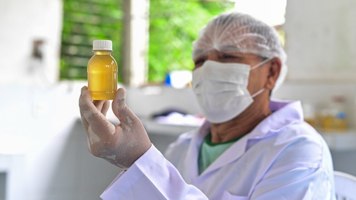 Ipaam contabiliza 283 criadores de abelhas sem ferrão no Amazonas e reforça incentivo à atividade sustentável