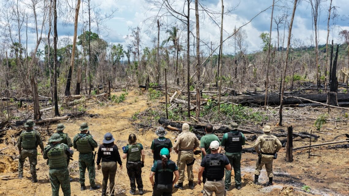 Operação Tamoiotatá 2025: Ipaam aplica R$ 144,7 milhões em multas por crimes ambientais no sul do Amazonas
