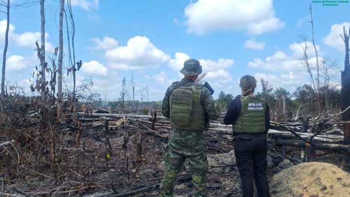 Operação Região Metropolitana 2025: Ipaam aplica R$ 30,6 milhões em multas por crimes ambientais