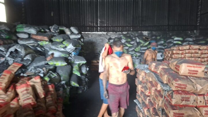 Ipaam multa empresa de carvão em R$ 122 mil por operar sem licença, poluir o ar e expor trabalhadores a riscos