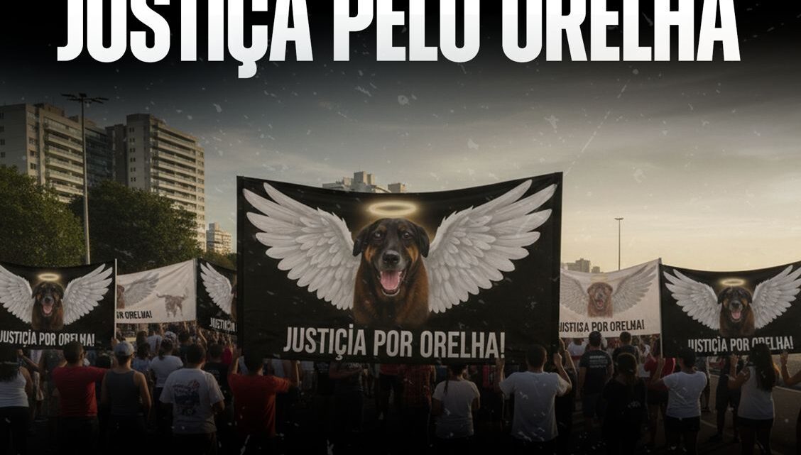 Caso do cachorro Orelha ganha manifestação no próximo domingo em Manaus