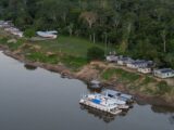 Venda do pirarucu de manejo propicia segurança energética para pescadores no Amazonas