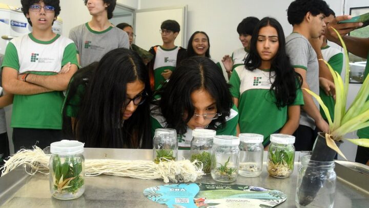 Programa Zona Franca de Portas Abertas inicia atividades de 2026 com sete visitas confirmadas