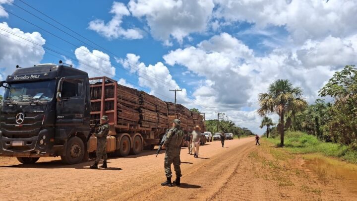 Operação Tamoiotatá 6: Ipaam aplica R$ 2,7 milhões em multas em nova ação de fiscalização em Humaitá