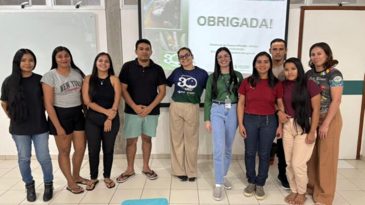 Com foco em renda e conservação, Ipaam regulariza criadores de abelhas sem ferrão em Parintins