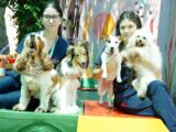 Engeco realiza atividade para pets e tutores no empreendimento Ara Mirá