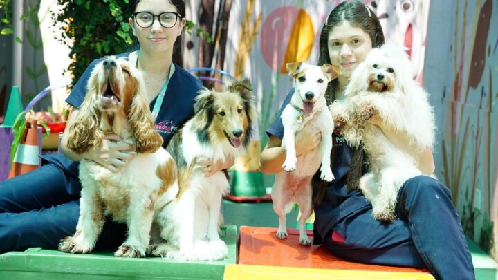 Engeco realiza atividade para pets e tutores no empreendimento Ara Mirá