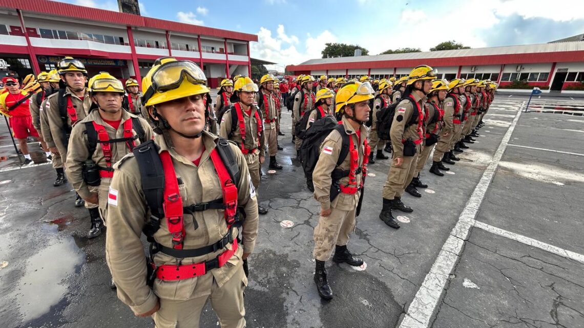 Corpo de Bombeiros do Amazonas inicia aulas do curso de prevenção e combate a incêndios florestais