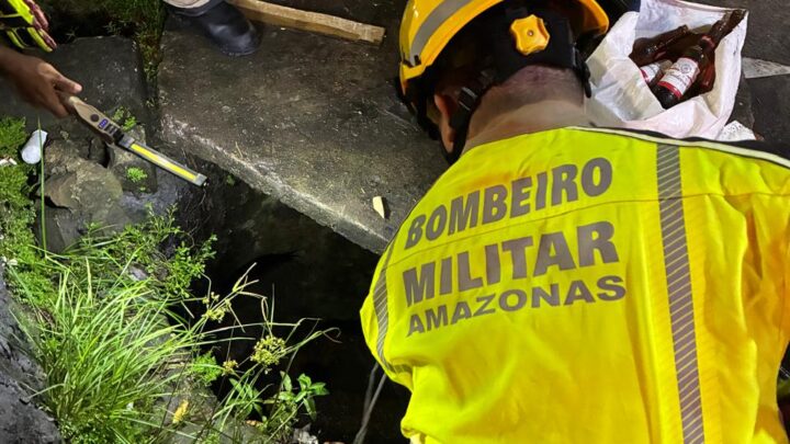 Corpo de Bombeiros é acionado para resgatar cachorros que caíram em bueiro após briga de rua