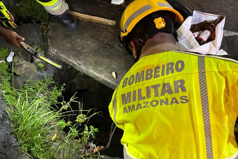 Corpo de Bombeiros é acionado para resgatar cachorros que caíram em bueiro após briga de rua