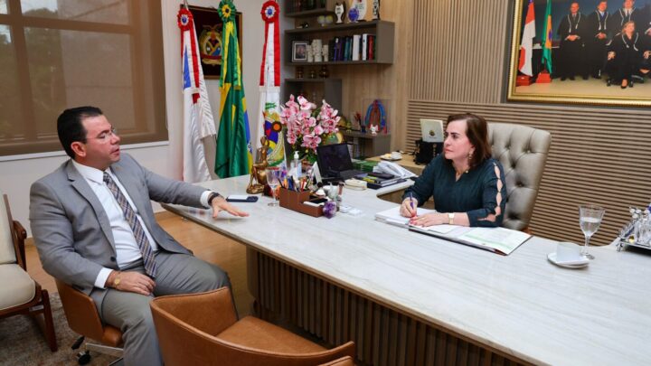 Wilker Barreto leva à presidente do TCE-AM demanda de aprovados em seleção de Lábrea