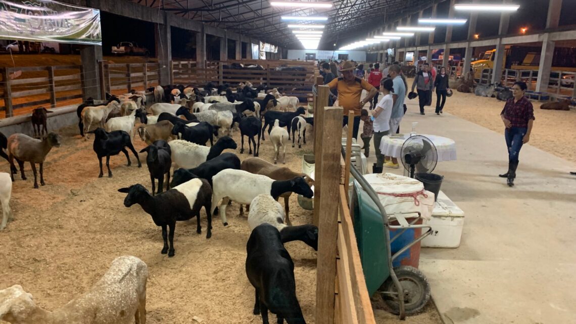 10ª Feira de Agronegócios da Nilton Lins espera superar recorde de R$ 50 milhões
