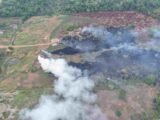 Ipaam aplica R$ 8,5 milhões em multas e embarga mais de 916 hectares na 13ª etapa da Operação Tamoiotatá 6