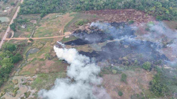Ipaam aplica R$ 8,5 milhões em multas e embarga mais de 916 hectares na 13ª etapa da Operação Tamoiotatá 6