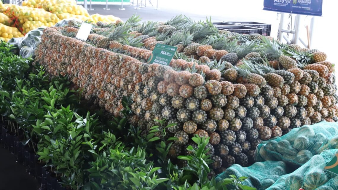 Sepror prorroga prazos de editais para 62 municípios e garante participação de produtores rurais após feriado
